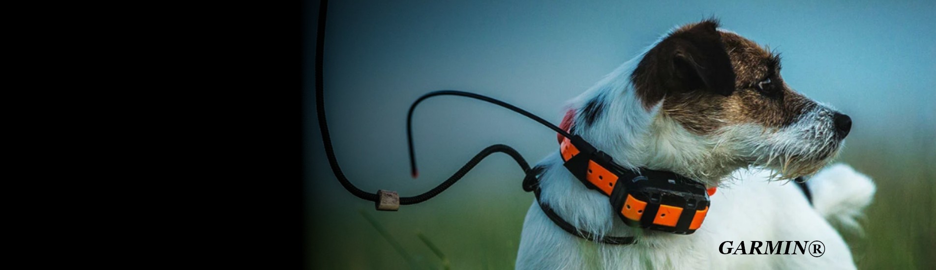 collari gps per la caccia